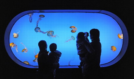 jellyfish_museum_nanjing_1
