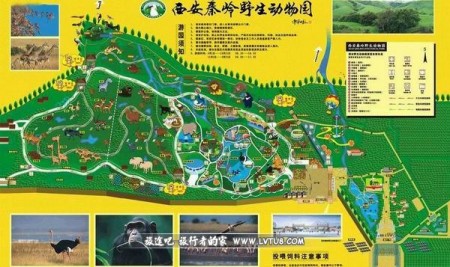 xian-qinling-wildlife-park-97