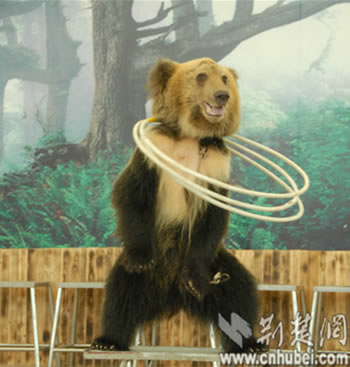 wuhan-zoo-china-2