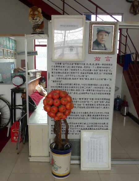 fietsmuseum-china-1-5