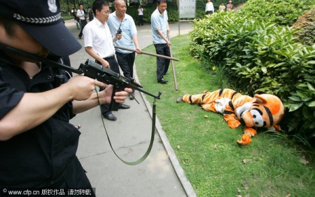 tijgers-jagen-dierentuin-china-4