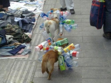 a-honden-recycling-china-1